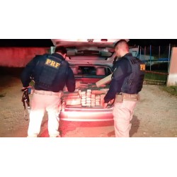 PRF apreende quase 400 quilos de maconha em Campo Largo